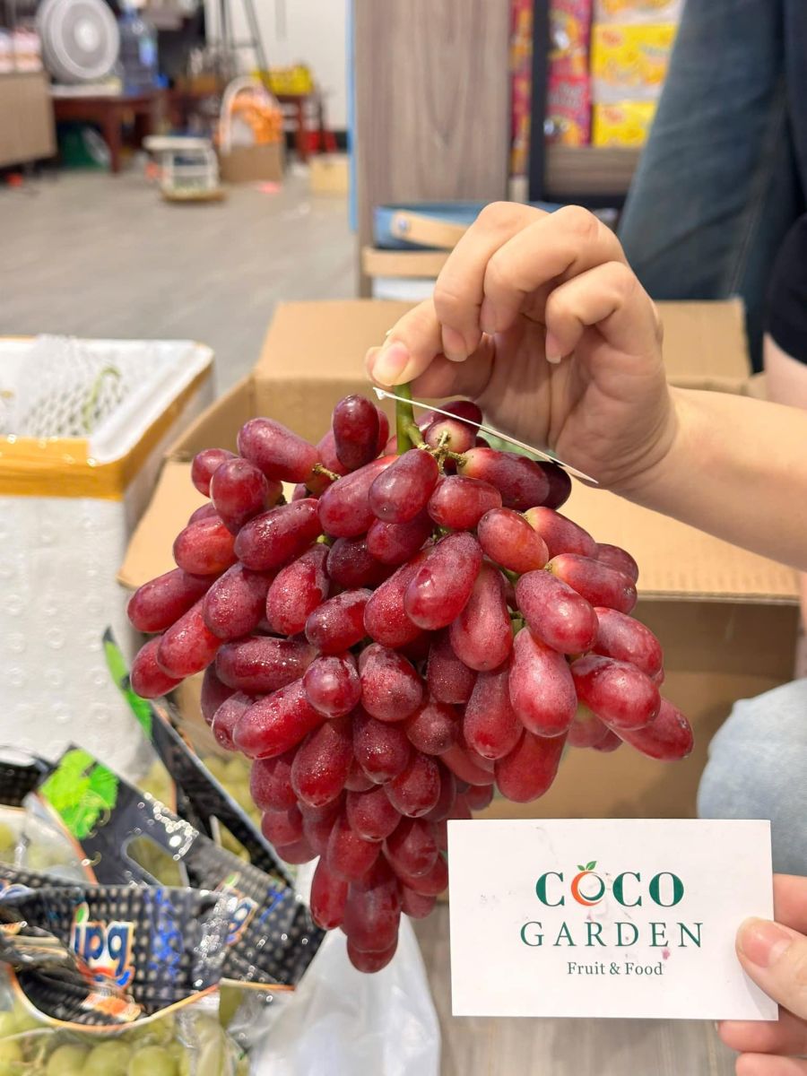 CoCo Garden - Trái Cây & Thực Phẩm Nhập Khẩu Cao Cấp