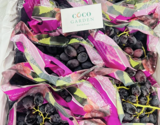 Trái cây ngoại nhập cao cấp tại Bến Lức Long An - Coco Garden