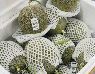 Tiệm Trái Cây Nhập Khẩu Bến Lức Long An - Địa Chỉ Uy Tín Cho Trái Cây Chất Lượng Cao