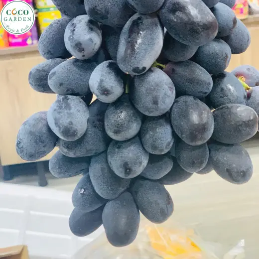 Nho Đen (Grape)