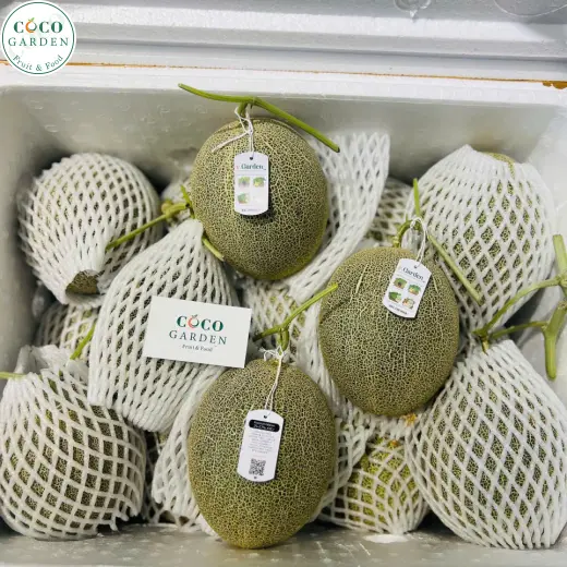 Dưa Lưới (Melon)