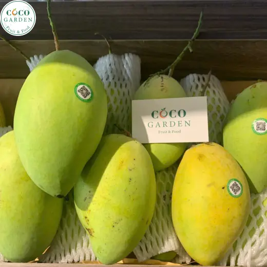 Xoài (Mango)