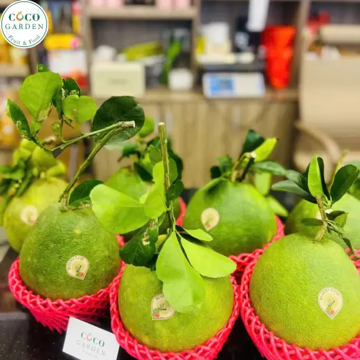 Bưởi (Grapefruit)