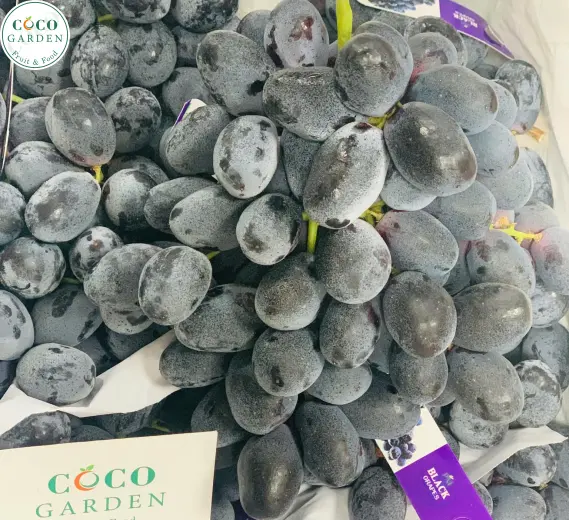Nho Đen (Grape)