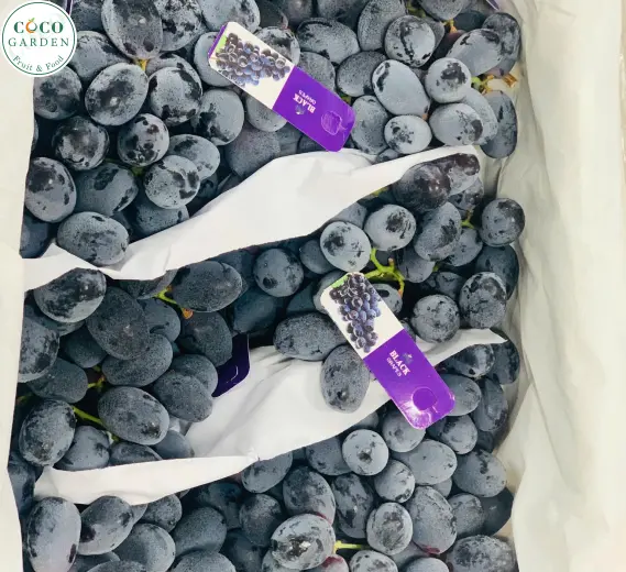 Nho Đen (Grape)