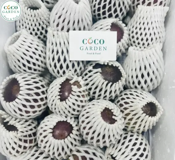 Vú Sữa Tím Lò Rèn Vĩnh Kim