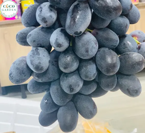 Nho Đen (Grape)