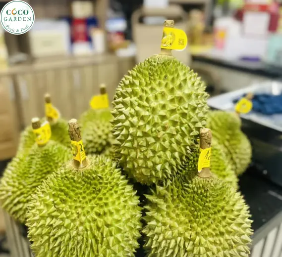 Sầu Riêng (Musang King)