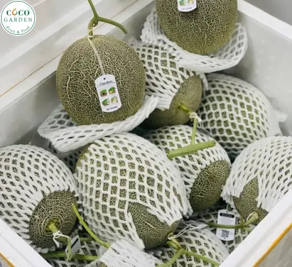 Dưa Lưới (Melon)