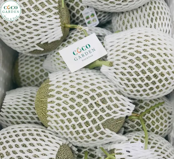 Dưa Lưới (Melon)