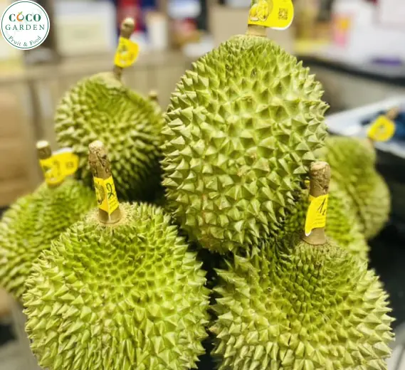 Sầu Riêng (Musang King)