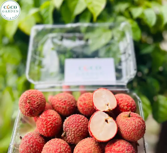 Vải Ngọc (Canh Tác Hữu Cơ)