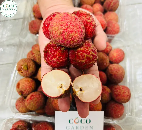 Vải Ngọc (Canh Tác Hữu Cơ)