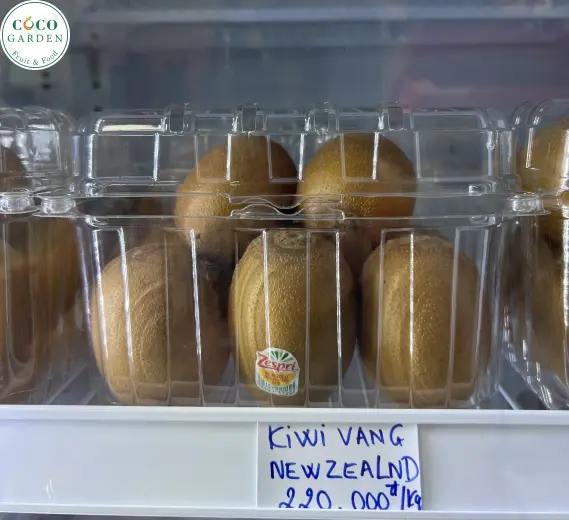 Kiwi Vàng New Zealand