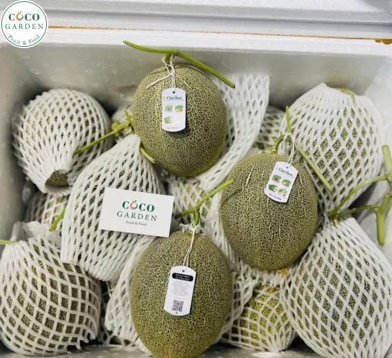 Dưa Lưới (Melon)