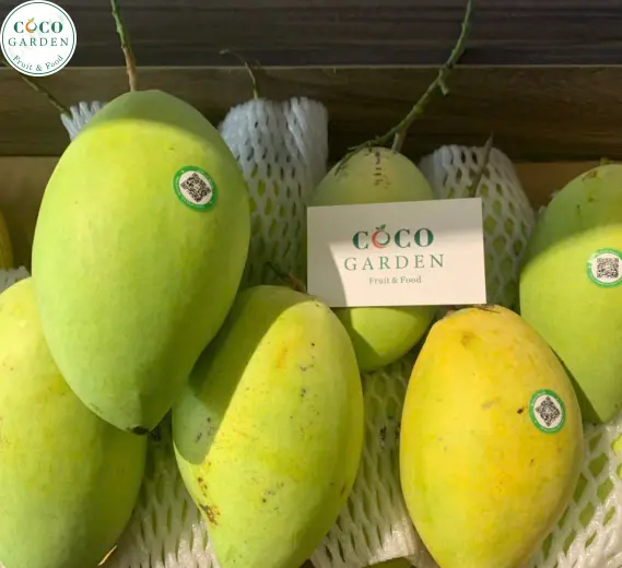 Xoài (Mango)