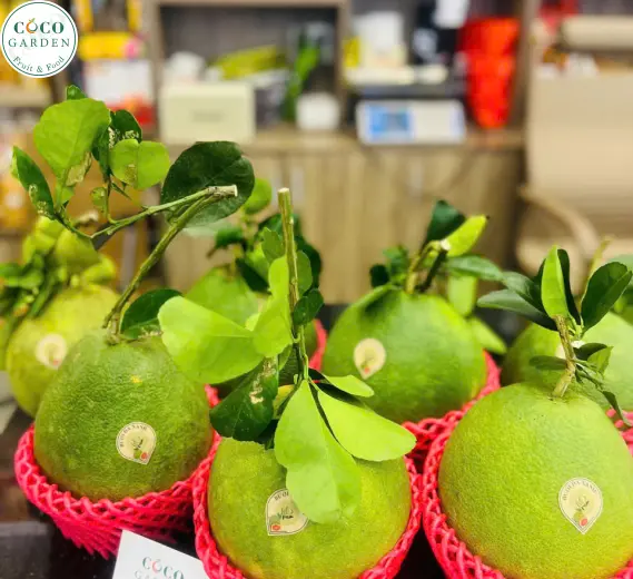 Bưởi (Grapefruit)