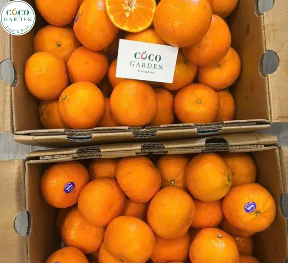 Quýt Vàng Ngọt