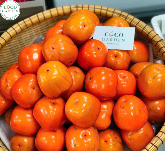Hồng Vuông 8 Hải Đà Lạt