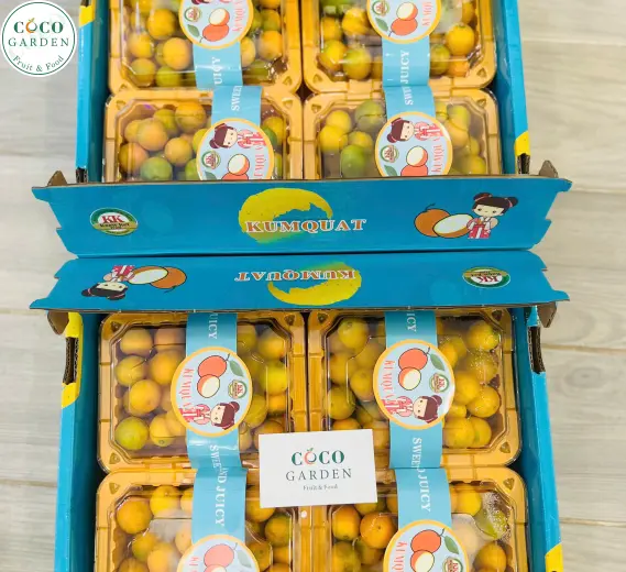 Kim Quất (Kumquat) Vị Ngọt