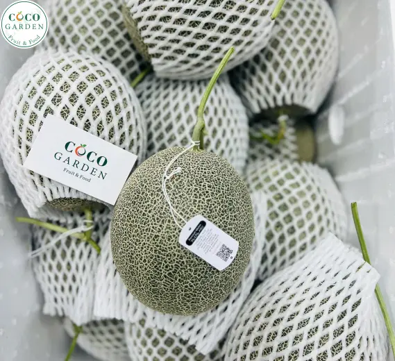 Dưa Lưới (Melon)
