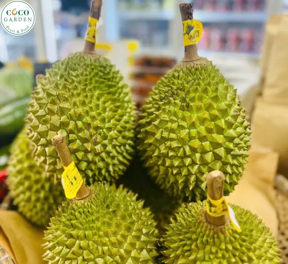 Sầu Riêng (Musang King)