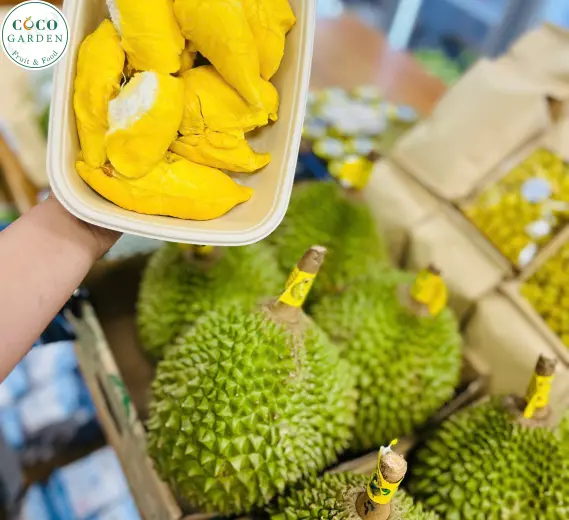 Sầu Riêng (Musang King)