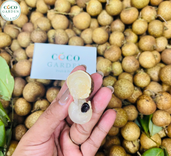 Nhãn Tiêu Trứng Cút