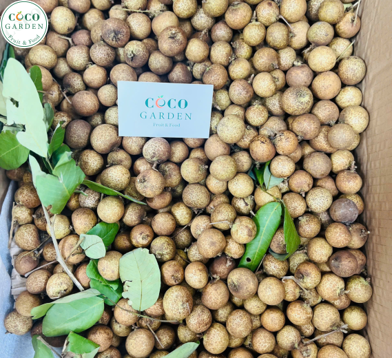 Nhãn Tiêu Trứng Cút