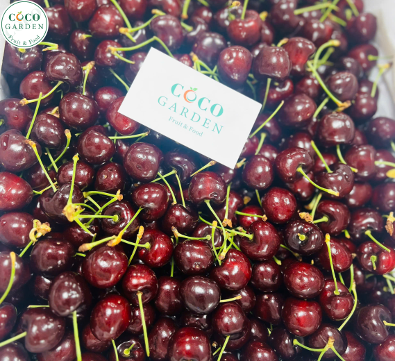 Cherry Đỏ Mỹ