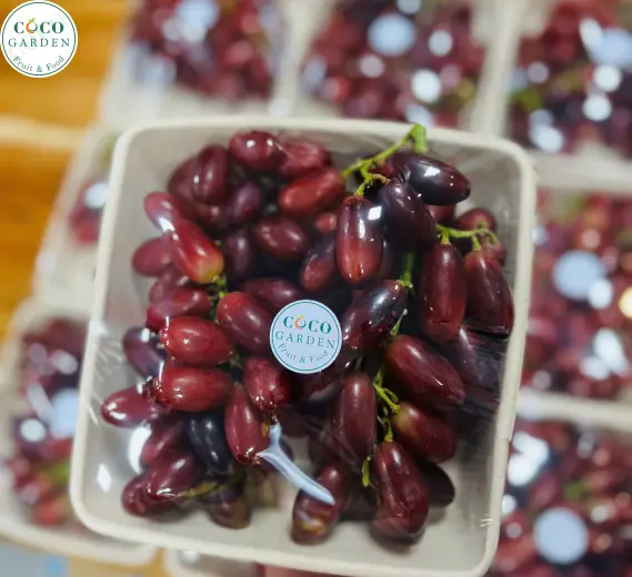 Trái Cây Bỏ Hộp Cho Khách