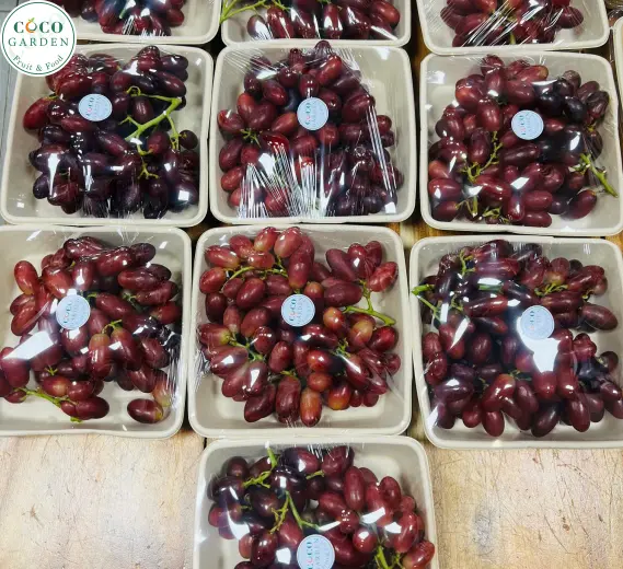 Trái Cây Bỏ Hộp Cho Khách