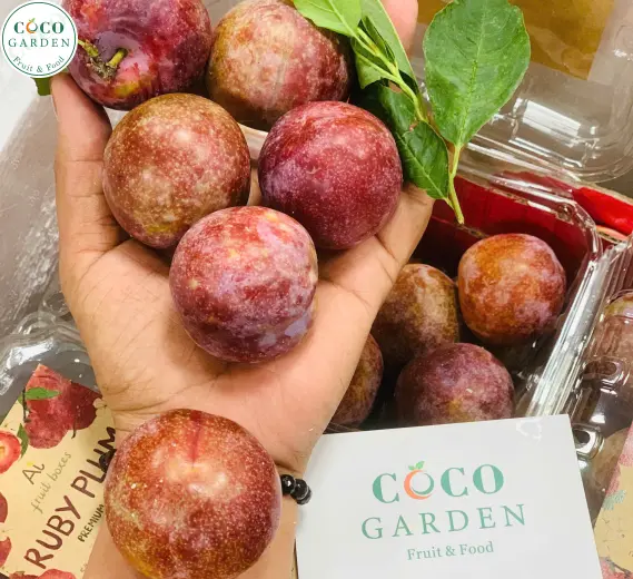 Mận Ruby Plum